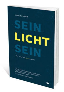 Sein-Licht-sein-Cover