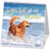 Gottes Liebe ist wie die Sonne 2027 (Postkartenkalender)
