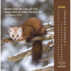 Gottes Liebe ist wie die Sonne 2027 (Postkartenkalender) – Beispielseite