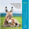 Gottes Liebe ist wie die Sonne 2027 (Postkartenkalender) – Beispielseite